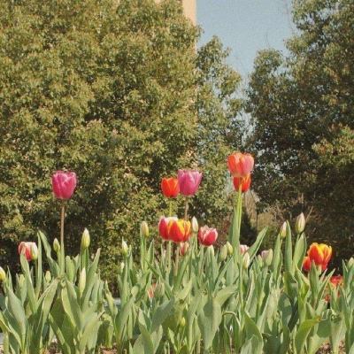 皇冠welcome下载app下载截图