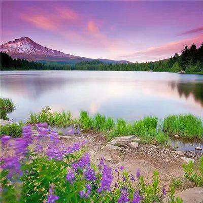 NG体育·(南宫)手机app下载